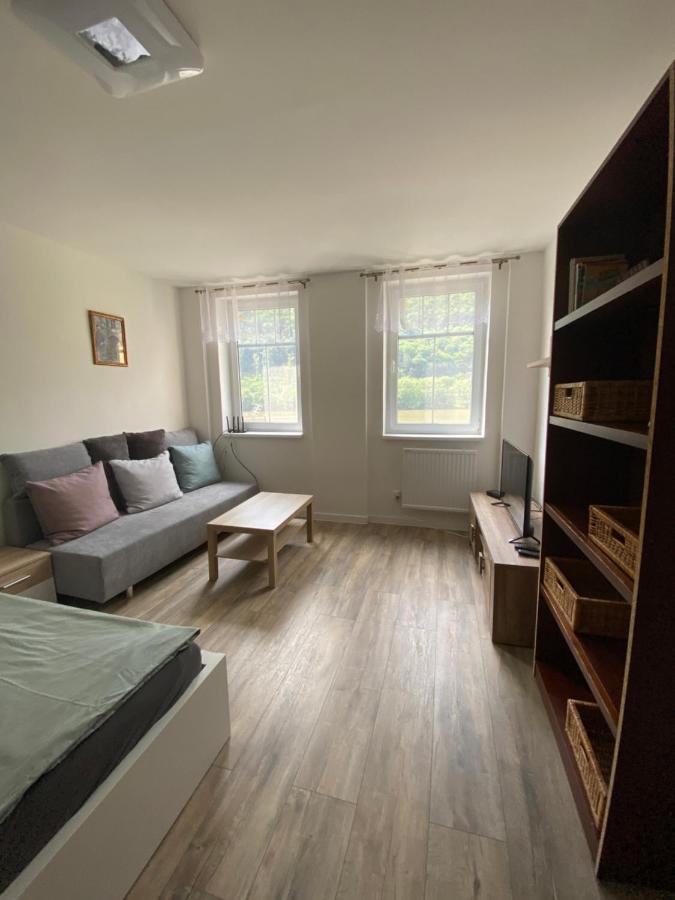 Apartmany U Viaduktu 46 Ústí nad Labem Exteriör bild